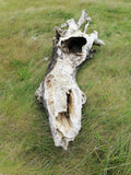 Naming Sculpture